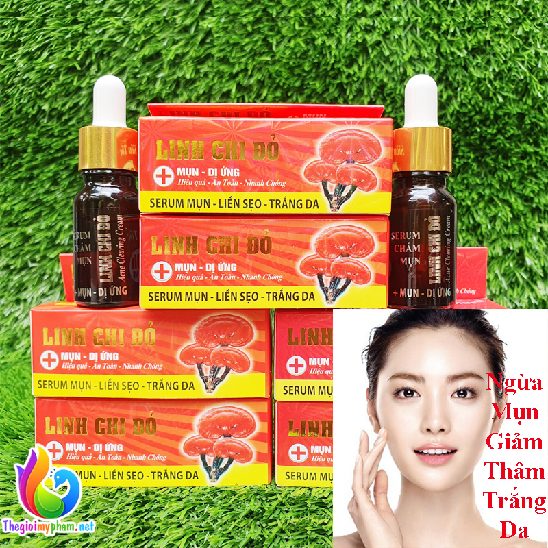 Serum Ngừa Mụn Thâm Trắng Da Linh Chi Đỏ 10ml