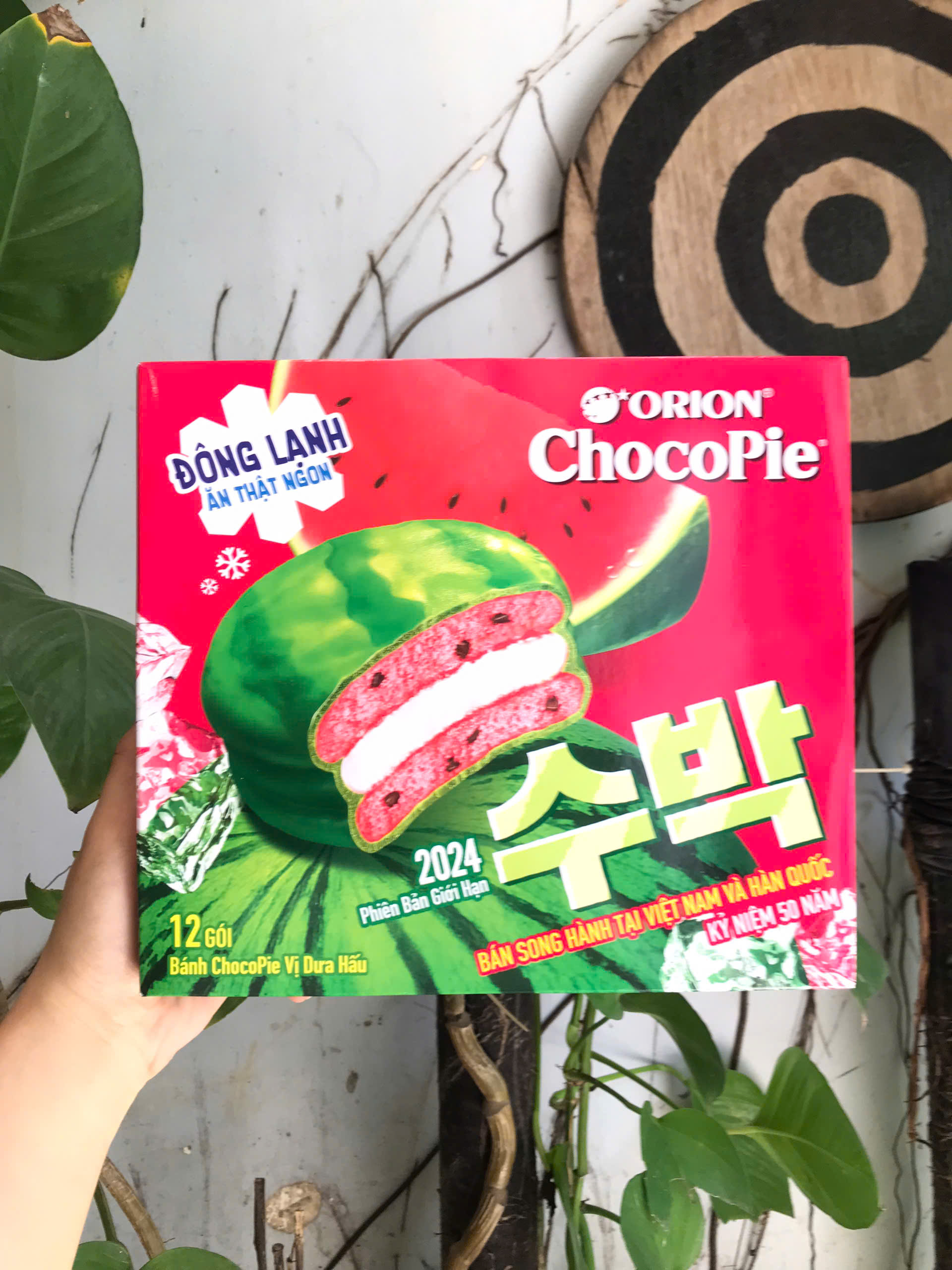 Bánh Choco Pie Orion Vị Dưa Hấu (Hộp 12 cái)