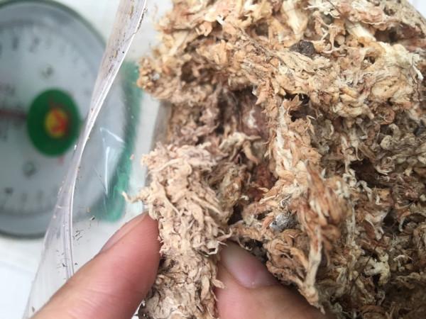 Dớn trắng gói 200gr (dớn mềm) chất trồng hoa lan