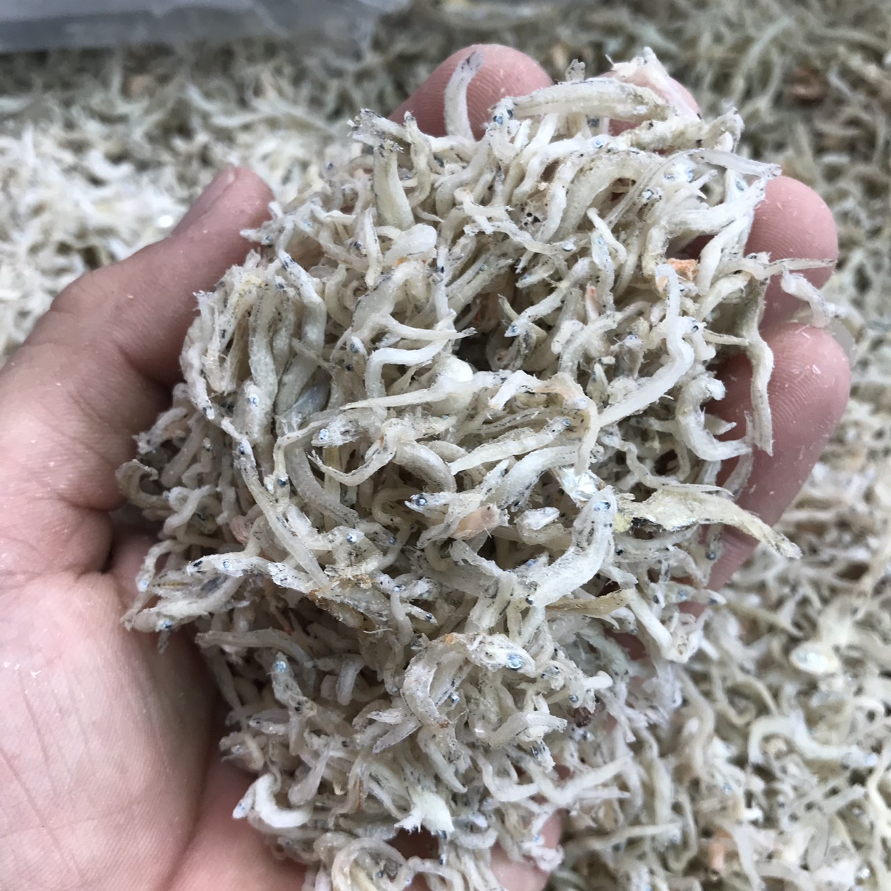 cá cơm 500gram - khô cá cơm - cá cơm mờm sữa