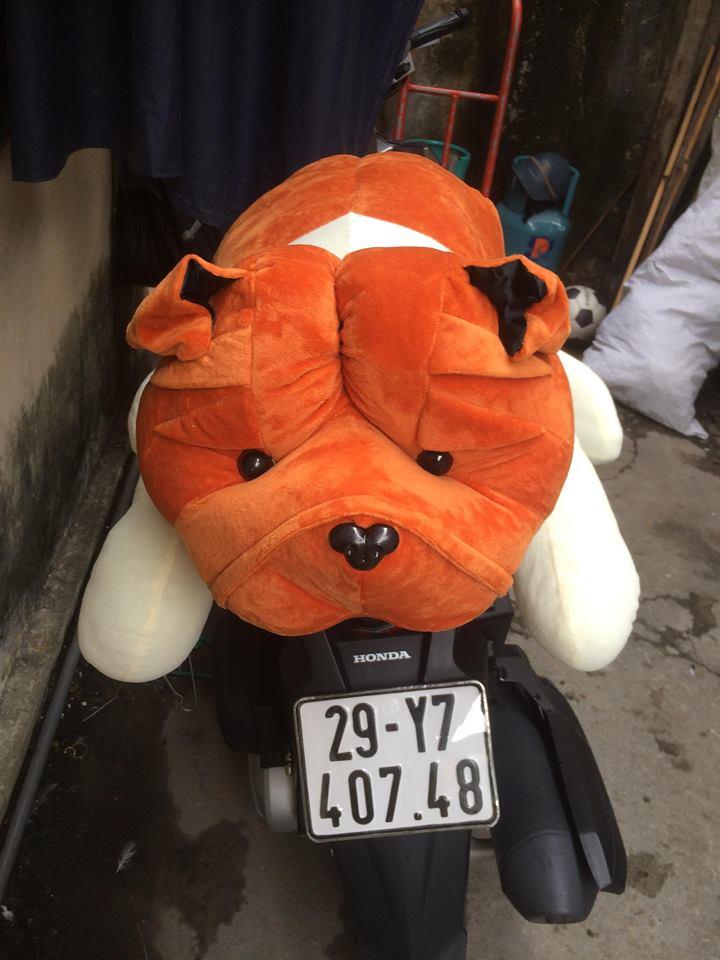 Gâu bông hình chú chó bitpull size 1m cực đẹp