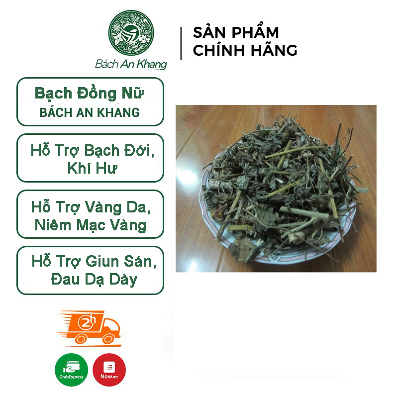 Bạch đồng nữ hay còn gọi là cây mò hoa trắng Bách An Khang 1kg tác dụng
