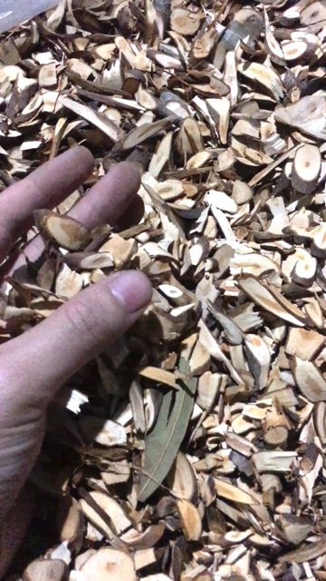 1 Kg Quế Chi khô loại đẹp nhất (thơm, sạch, nguyên chất)