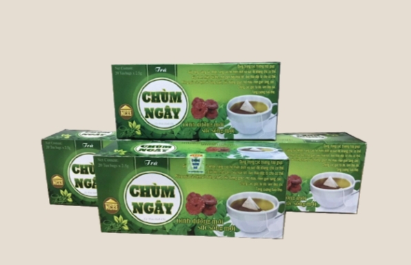 Trà túi lọc chùm ngây xạ đen linh chi