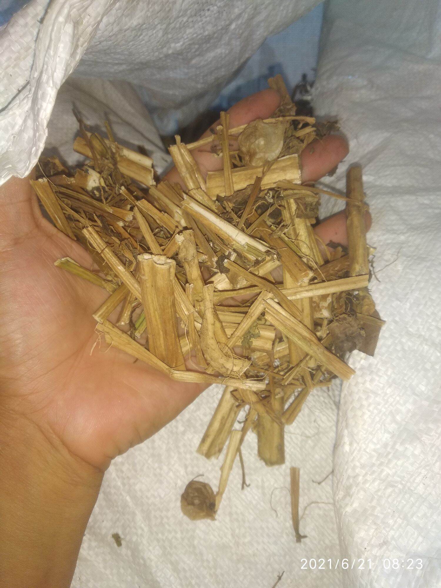 Giá tốt500gr tầm bóp khô - cây thù lù khô