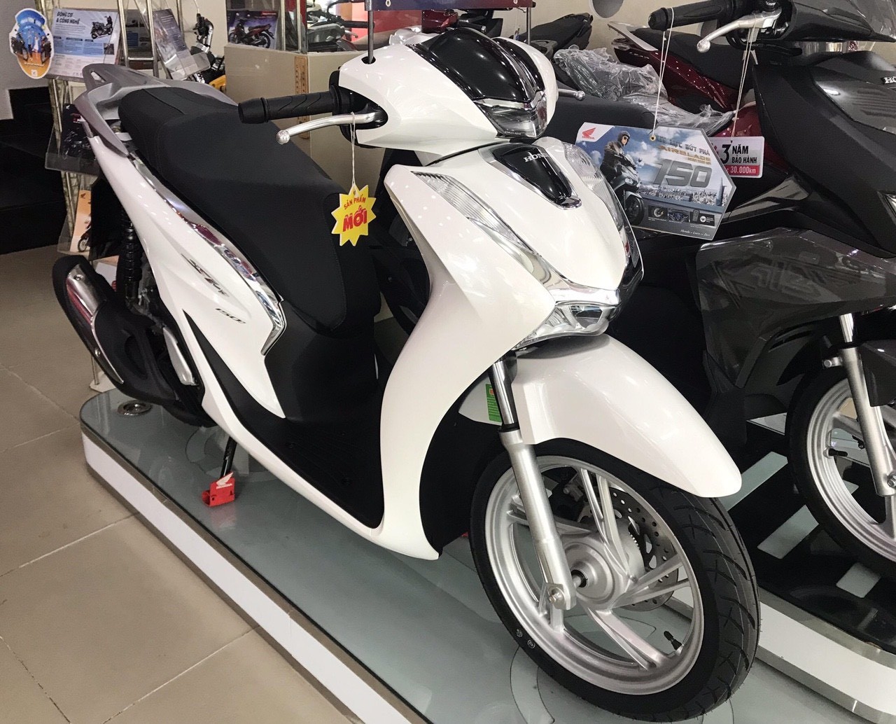NẸP SƯỜN SH 2020 - 2021