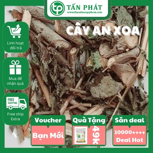 [Trà an xoa sấy khô] Cây an xoa khô 500g - Thảo Dược Tấn Phát - Hàng loại 1 chất lượng cao - Hỗ trợ thanh nhiệt và giải độc