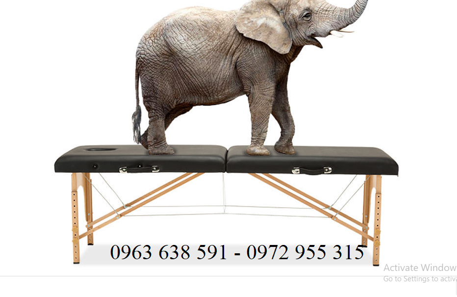 Giường Spa Gấp Gọn - Giường Massage Châm Cứu