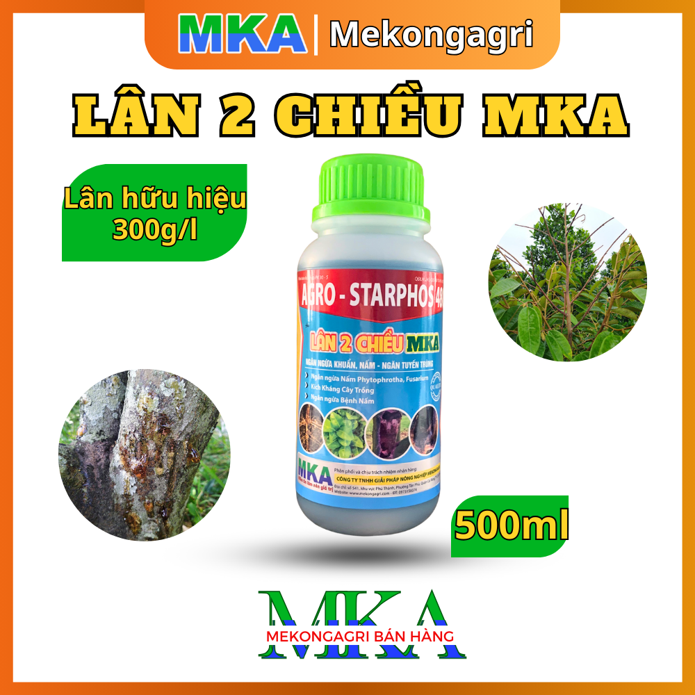 MKA - 500ml fungus test chamber