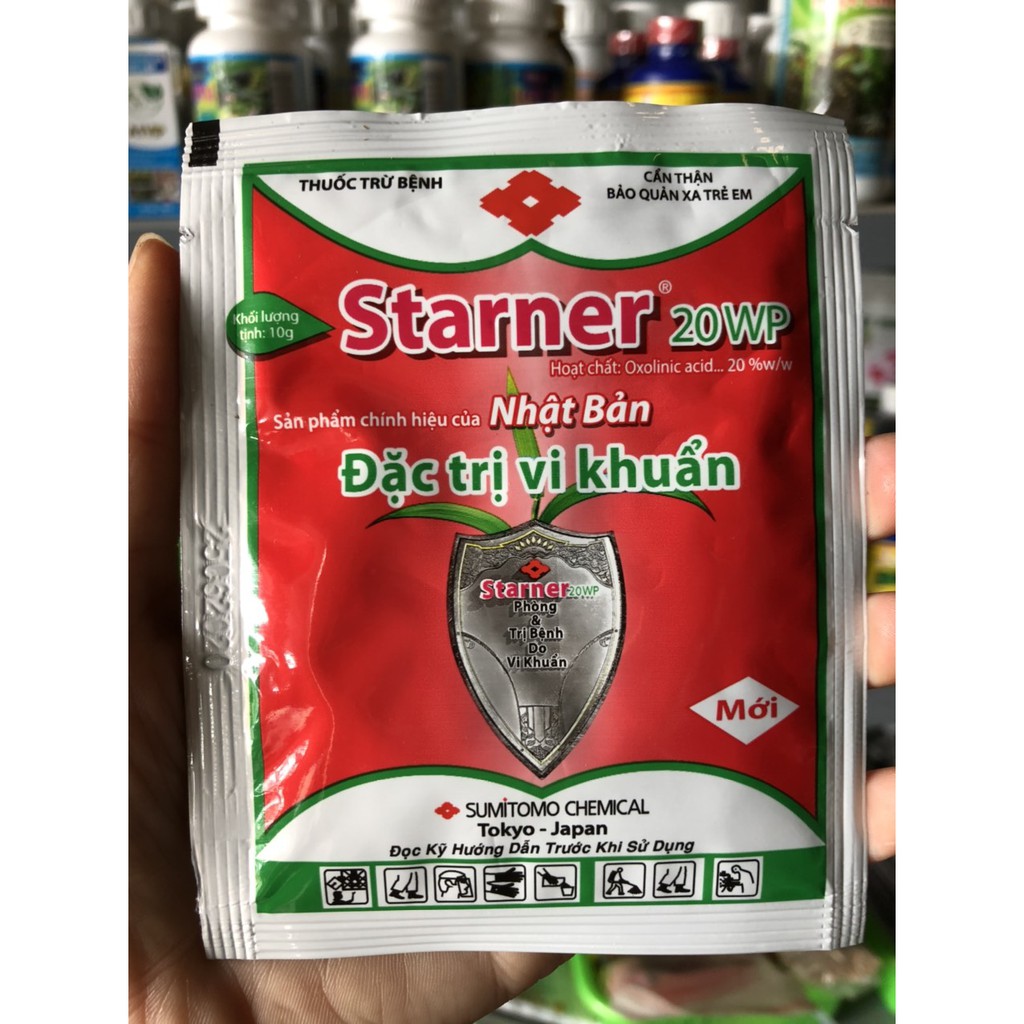 Vi Khuẩn Starner 20Wp Nhật Bản- Gói 10 Gram