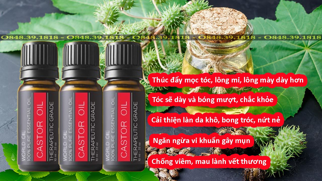 [HCM]Dầu Thầu Dầu Đen ( Castor Oil) Mọc Lông Mày Lông Mi 10ml
