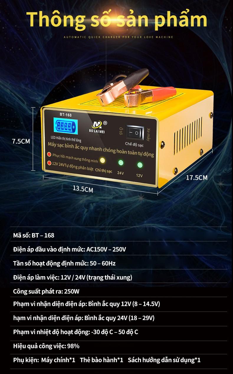 Ắc quy sạc tự động xung đồng 12V 24V
