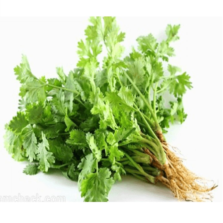 Hạt Giống Ngò Rí (Rau Mùi Ngò Ta) Gói 50gr