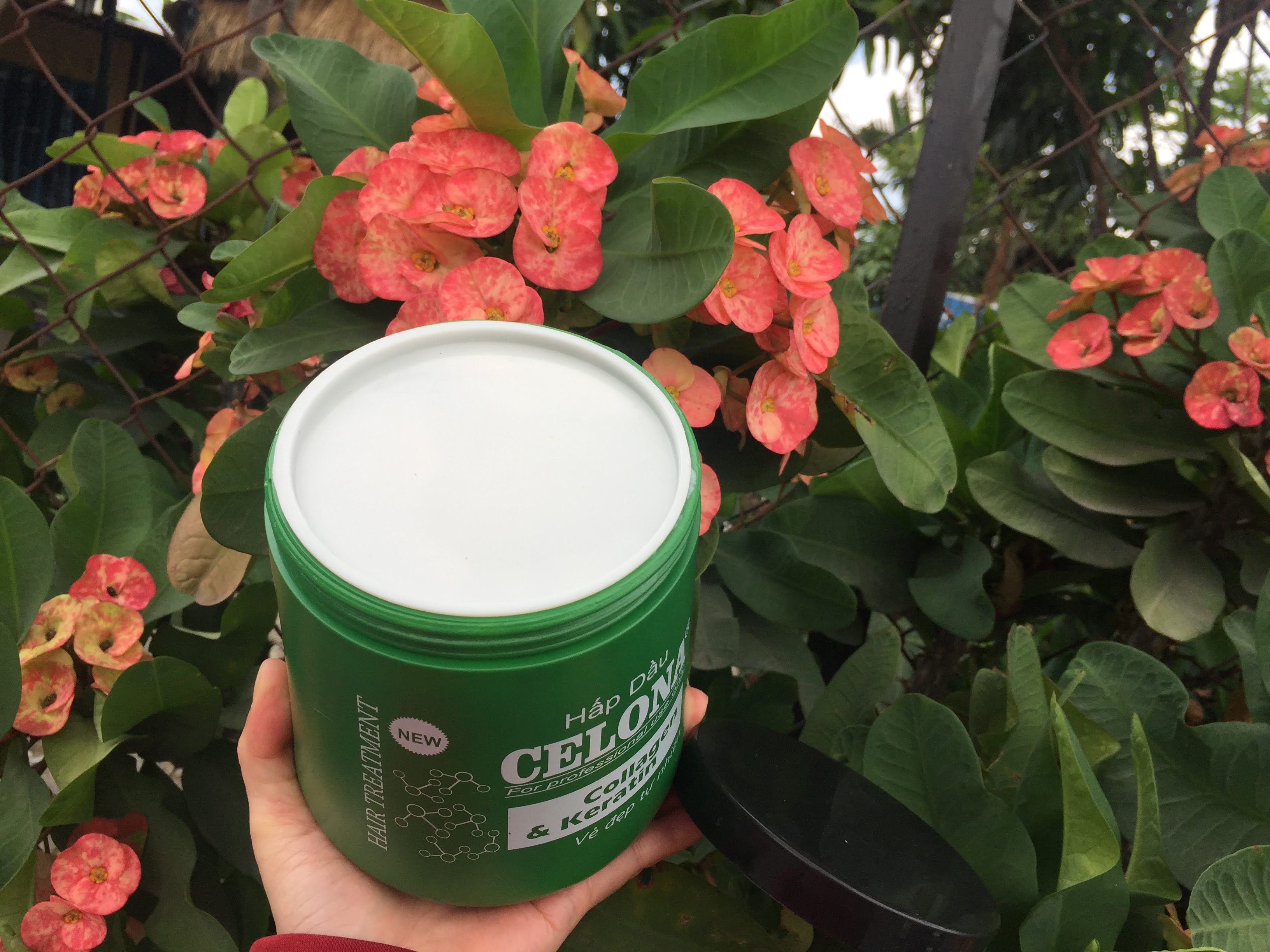 Hấp dầu CEOLONA Collagen & Karetin 1000 ml