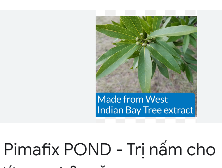 API melafix cham sóc cá cảnh và pimafix hang chiết lẽ 100ml