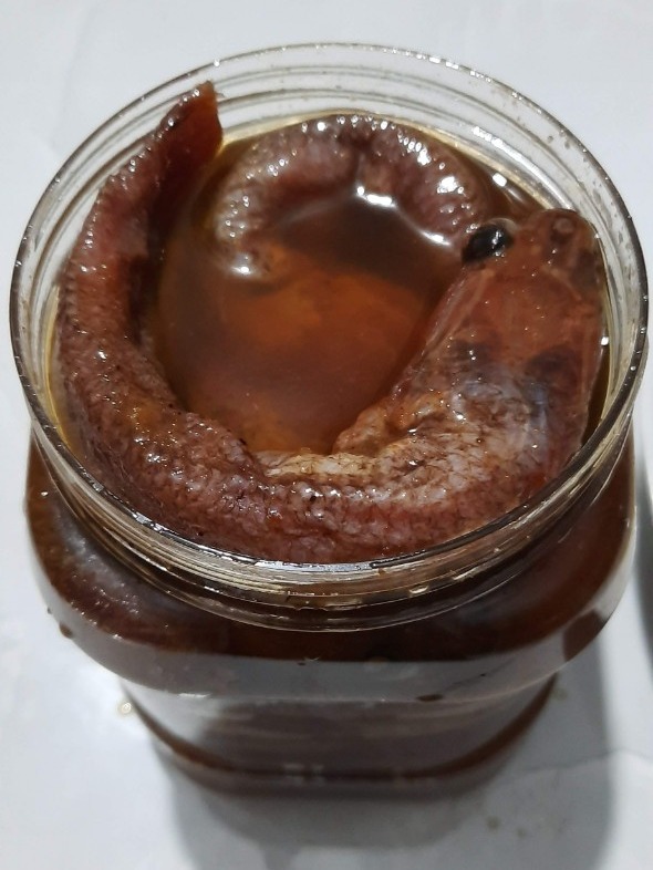 Mắm Cá Lóc 1kg