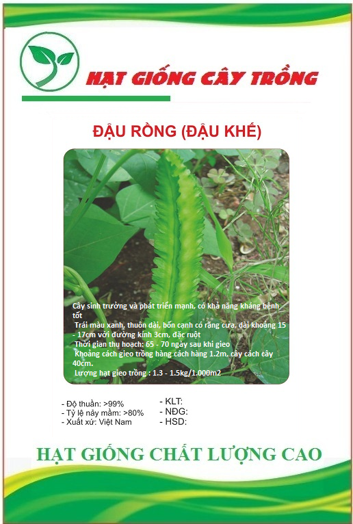 Hạt giống đậu rồng cao sản - Gói 5gram
