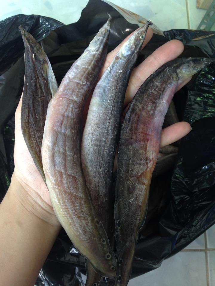 KHÔ CÁ CHẠCH