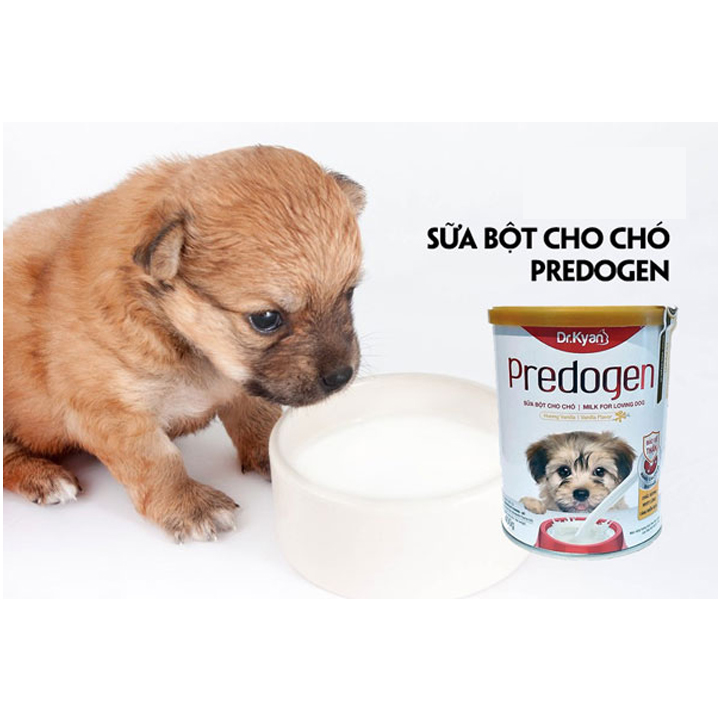 Sữa Bột Cho Chó Dr.Kyan Predogen 400g