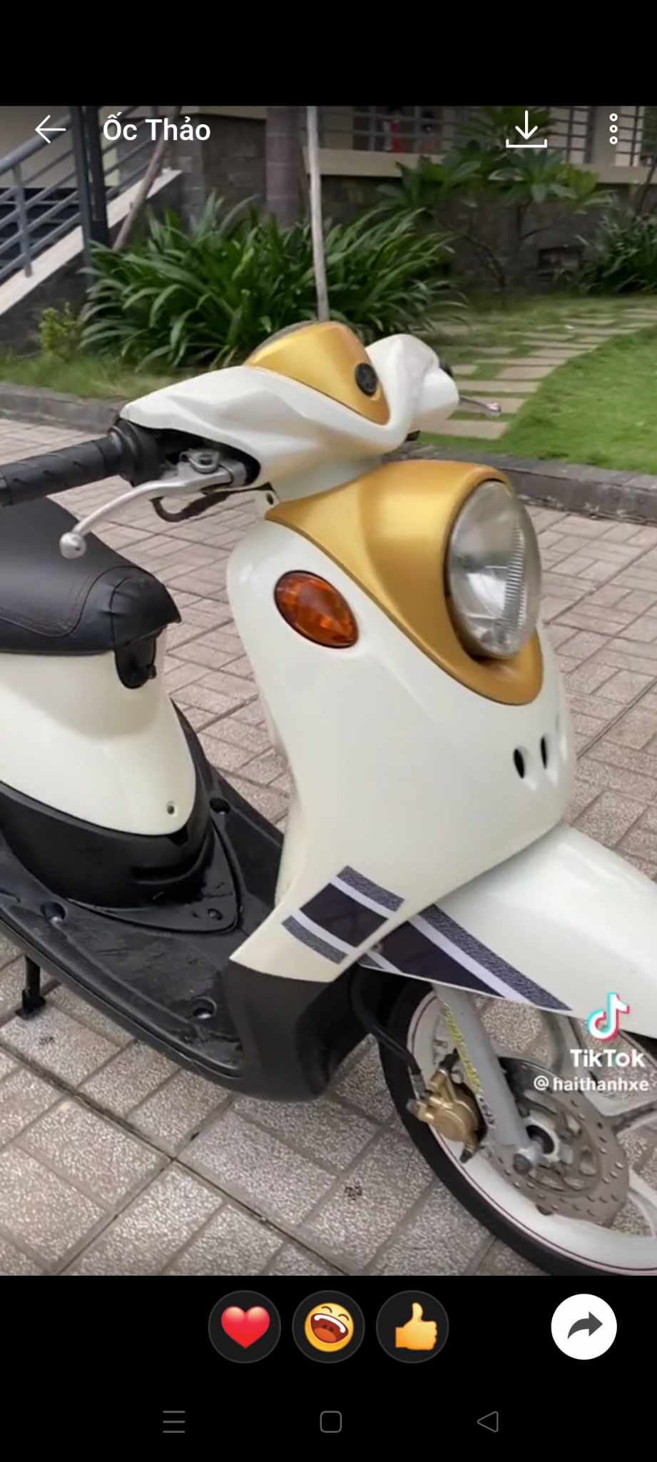 Tem rời mio classico dior in keo trong