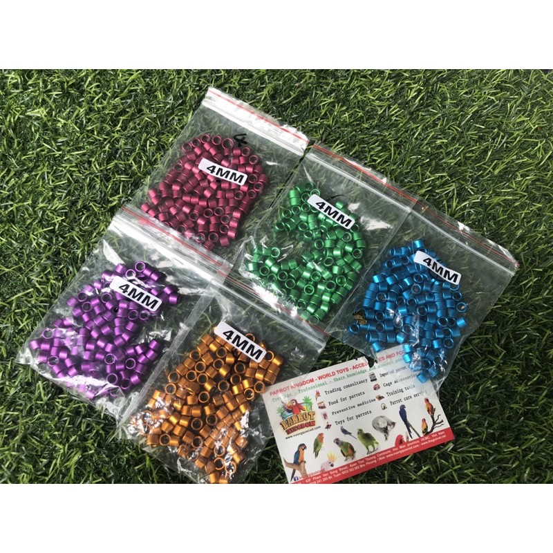 SET 10 vòng đeo chân chim chào mào 4mm