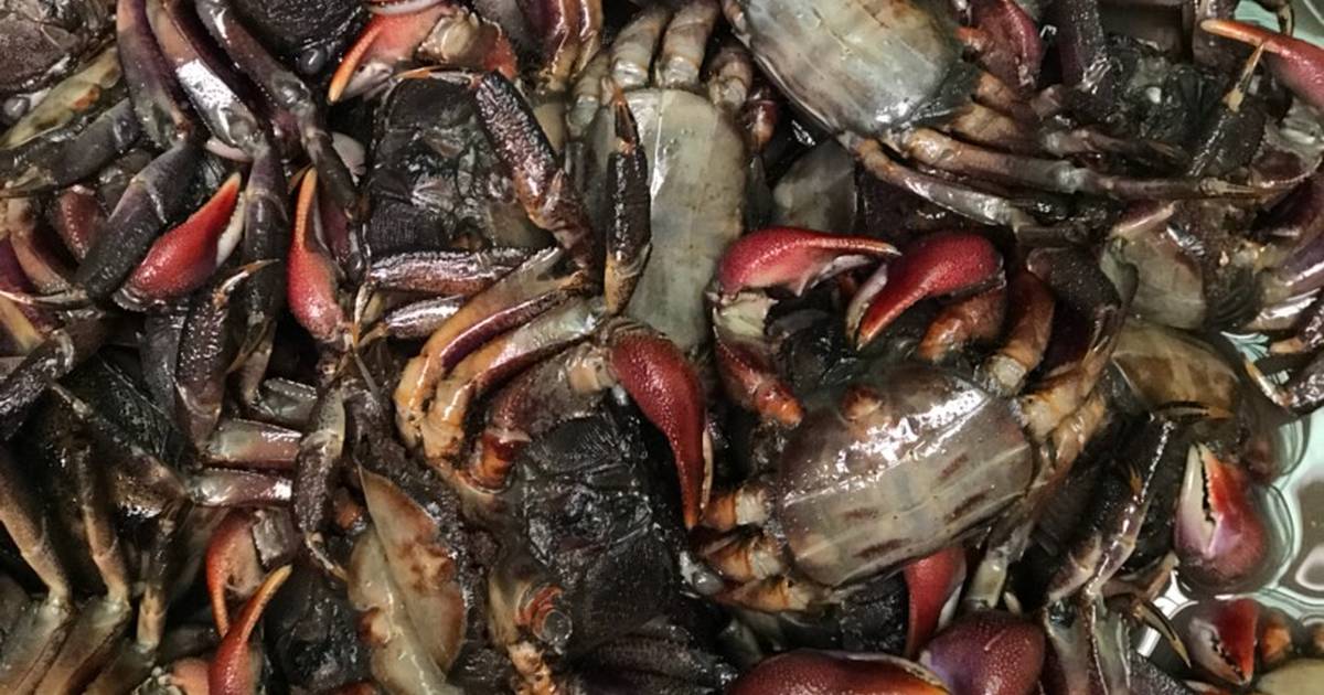 Ba khía muối Cà Mau 1kg (Nguyên con, chưa trộn)