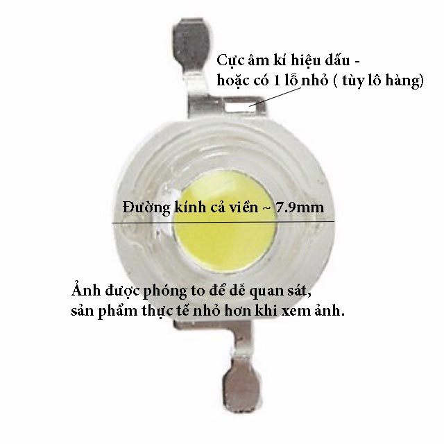 LED đèn pin, led tròn SMD  ( 10 bóng)