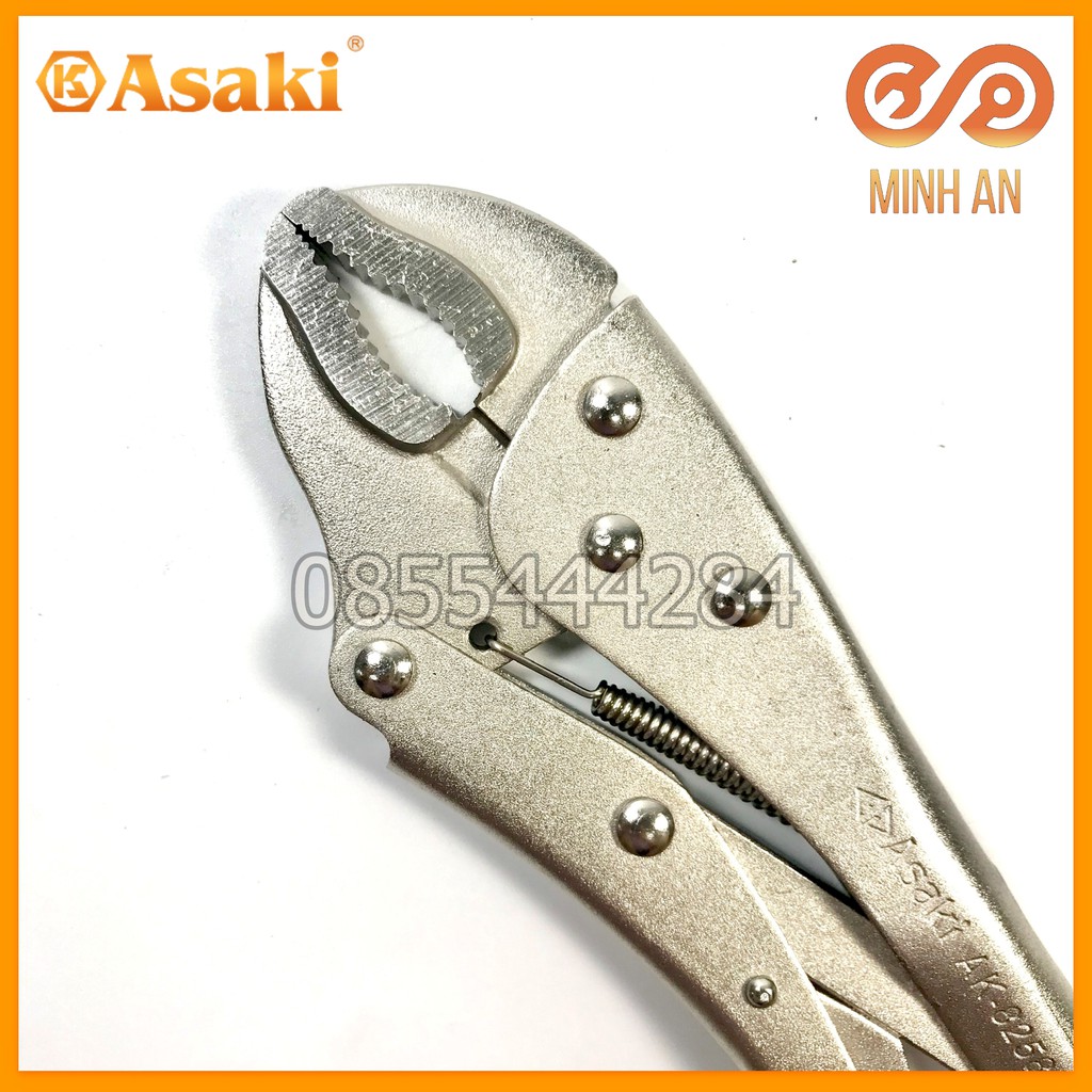 Kìm Chết 10''/250Mm Asaki Ak-8258