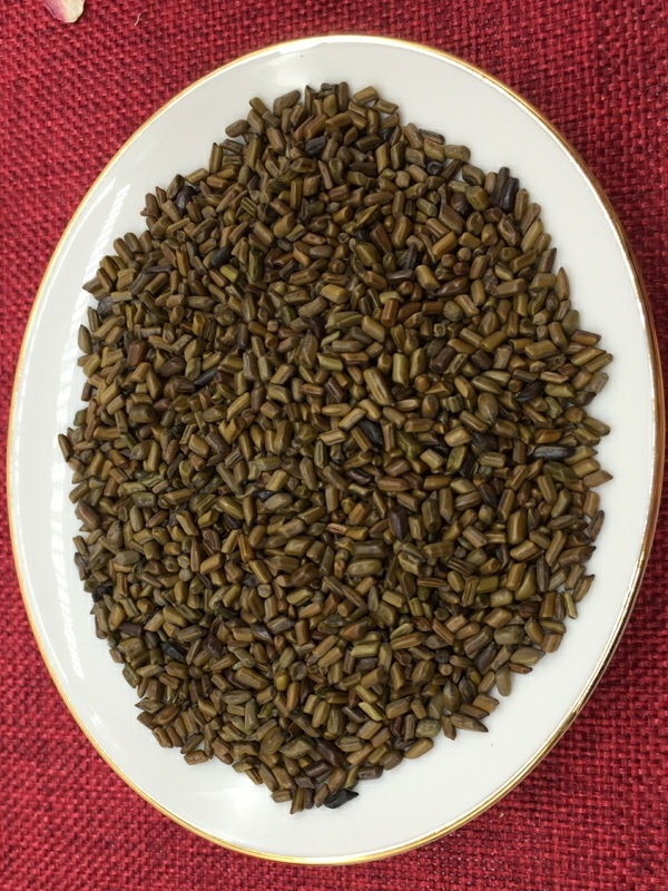 Thảo quyết minh (Hạt muồng muồng) GT092