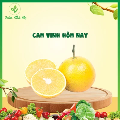 [Giao nội thành Hà Nội] Cam Vinh Vườn Nhà Mẹ - 1 kg cam ngọt - Hoa quả sạch, chất lượng cao, chuẩn VietGap