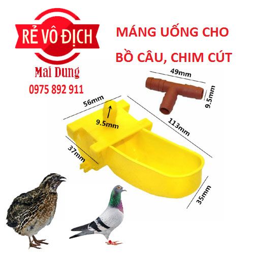 máng uống cho chim cút , bồ câu