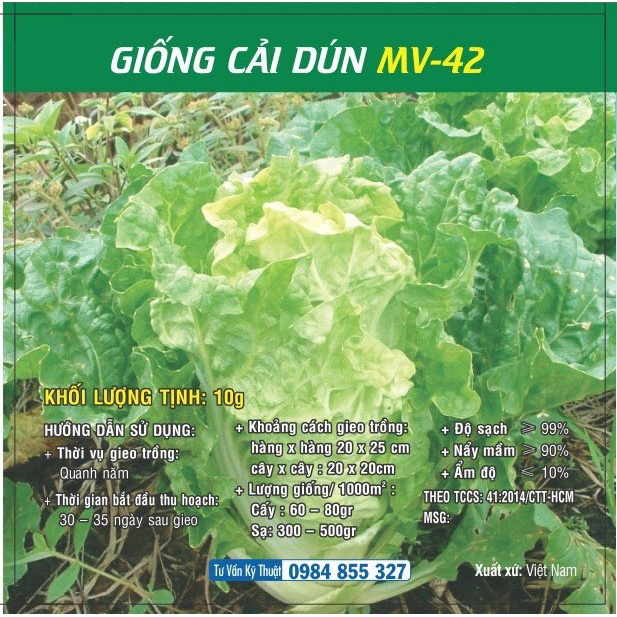 [SALE] Hạt giống Cải Dún MV - 42 - HGVT1