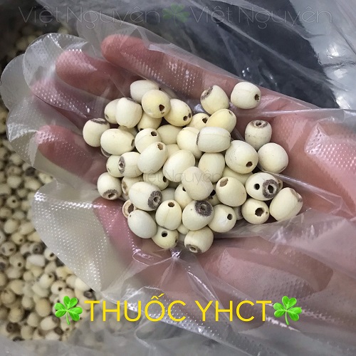 Hạt sen khô hưng yên loại 1