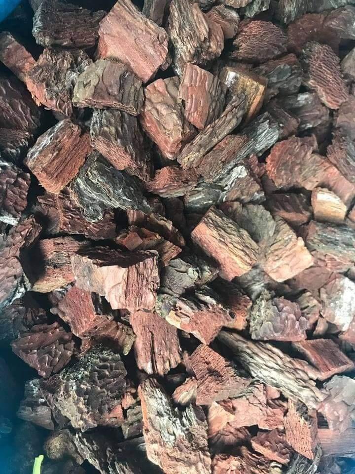 5kg vỏ thông