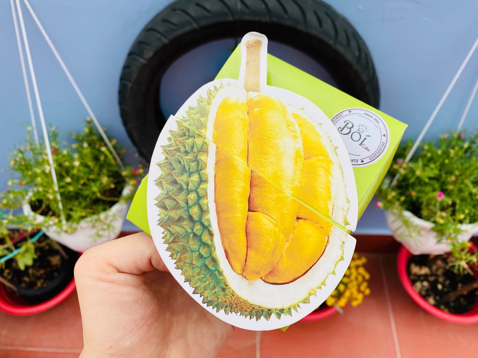 Bánh Phô Mai Sầu Riêng.