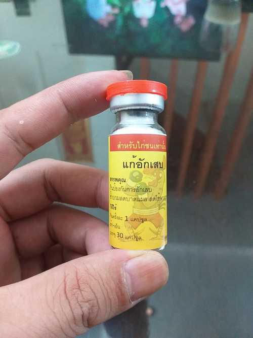 Tiêu Kén, Tiêu gom kén nước, kén cứng,tiêu sưng cho gà sau khi đá