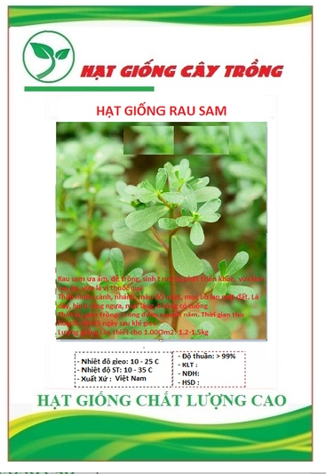 Hạt giống rau sam đất ct1010 - gói 2gram