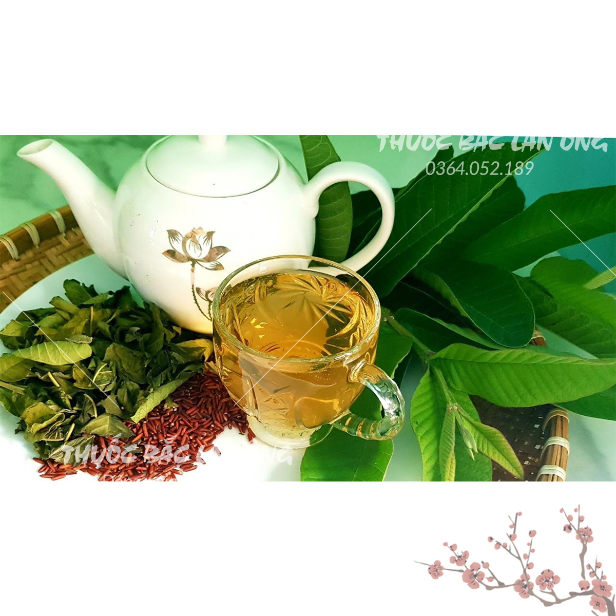 Lá ổi non phơi khô 100g (Lá ổi giảm cân, đọt ổi khô, thơm, sạch)