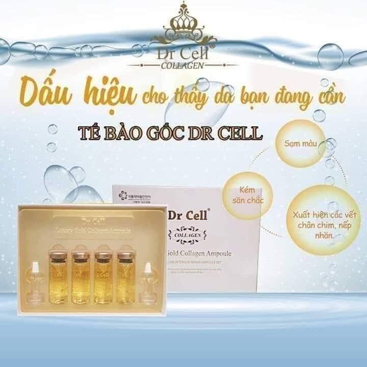 Tế Bào Gốc Dr Cell hộp 4 lọ x 10ml cấp ẩm chống lão hoá căng bóng da phục hồi da
