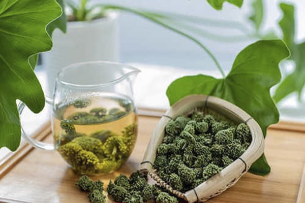 Nụ tam thất sấy lạnh 500 gram loại 1