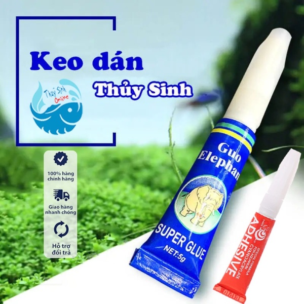 Keo dán thuỷ sinh - Dán cây thuỷ sinh