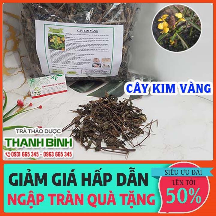 Cây kim vàng khô 1kg - hàng công ty chất lượng