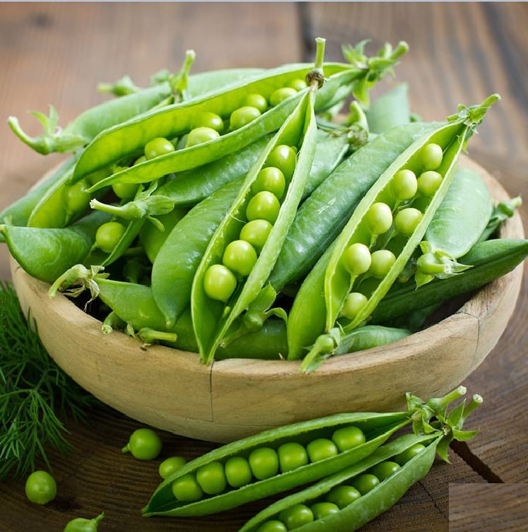 Hạt giống đậu hà lan ( Lấy hạt ) - Gói 50gram