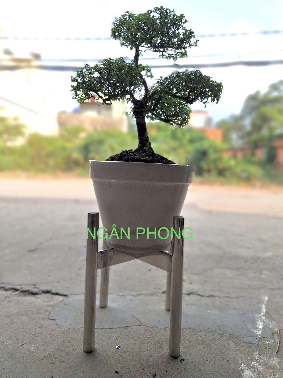 ( HCM ) CHÂN ĐẾ CHẬU HOA INOX 304
