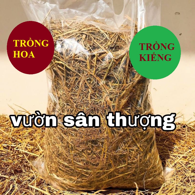 500G RƠM KHÔ TỰ NHIÊN ( RẤT NHIỀU) VÙNG LÚA BẠC LIÊU