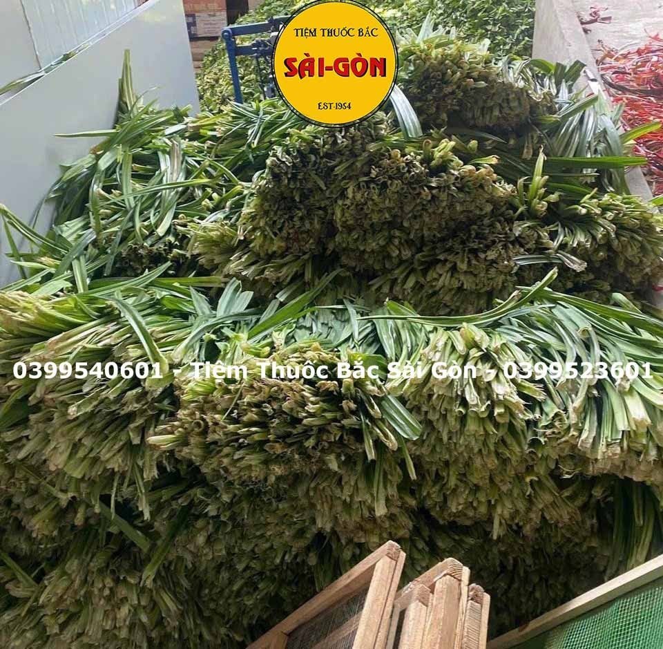 Lá Dứa - Lá Nếp Sấy Khô 100g (Hàng khô, thơm, đẹp)