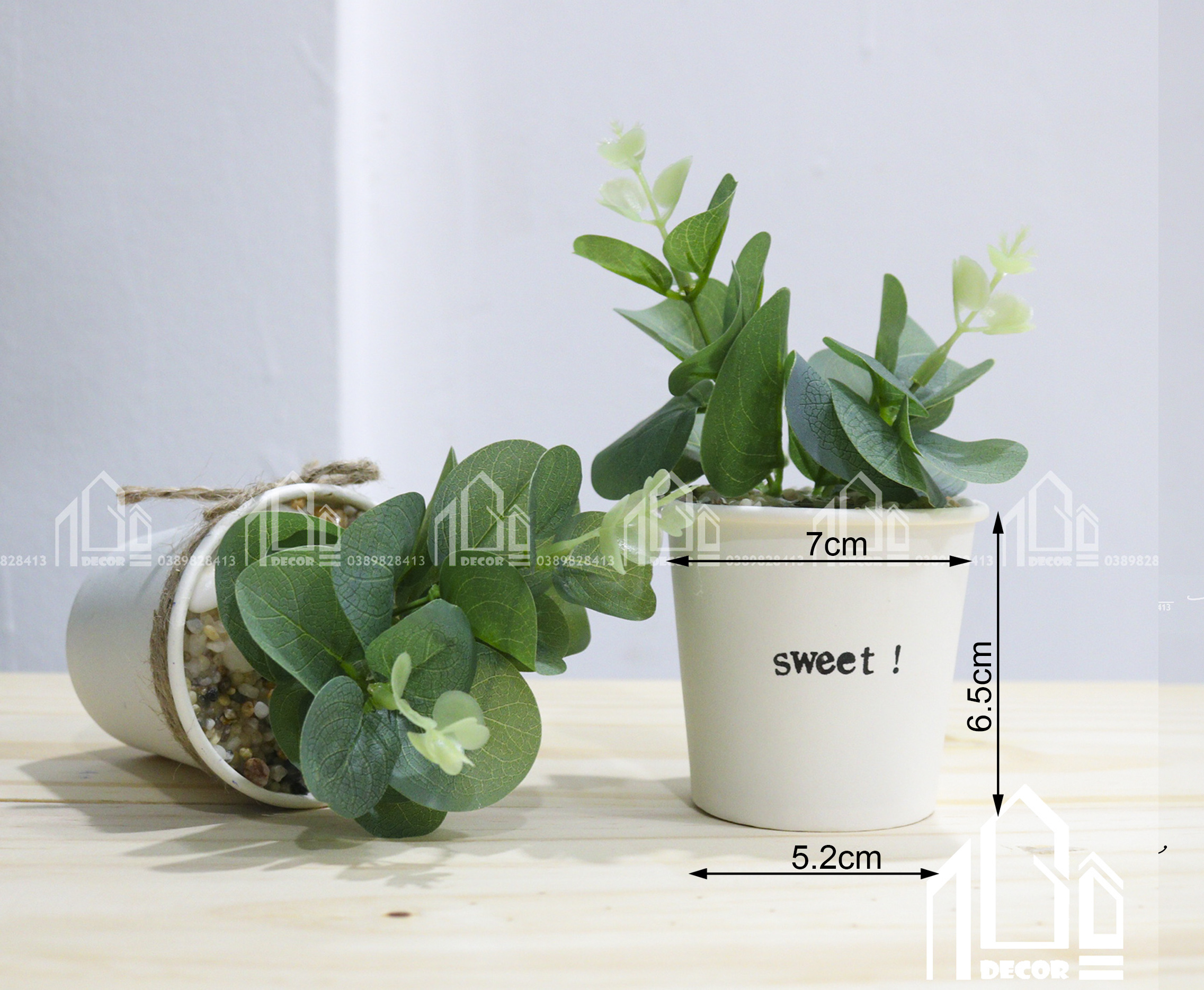 Cây giả, Hoa giả - chậu cây MiNi xinh xắn - Chậu giấy+cây nhân tạo