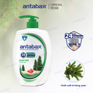 [HCM]Nước Rửa Tay Bảo Vệ Da Kháng Khuẩn Antabax Pure Pine Thông Xanh 500ml thumbnail