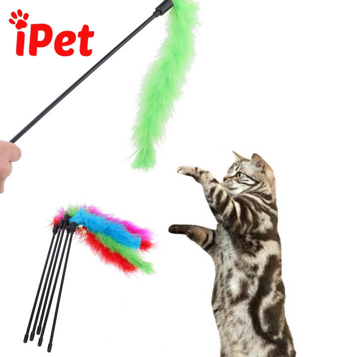 Cây Trêu Chó Mèo Bằng Lông Có Lục Lạc - iPet Shop