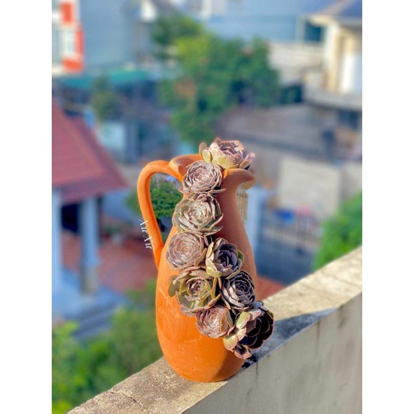 Chậu đất nung Bình Dương xẻ miệng 10 x cao 28cm